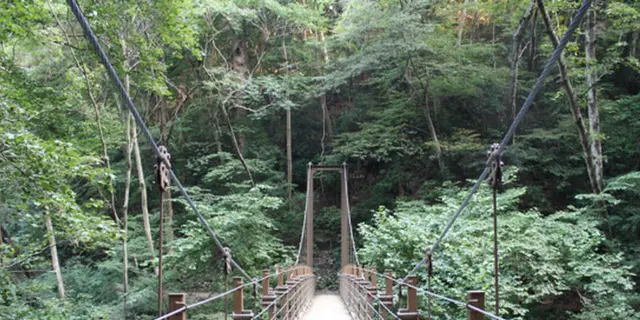 友達と行く初めての高尾山