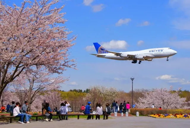 飛行機と桜のコラボレーション！WELCOME TO NARITA!