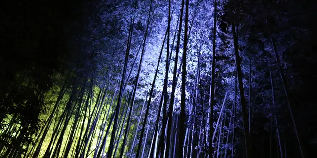 星のや京都で贅沢気分に浸り、美味しいものに出会う嵐山旅♡