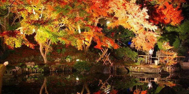 紅葉の鎌倉できゅんな癒しのひととき♪
