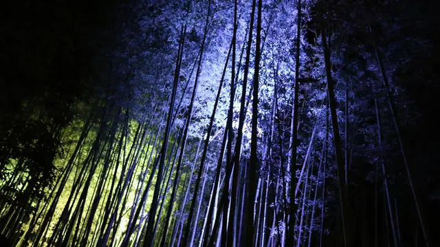 星のや京都で贅沢気分に浸り、美味しいものに出会う嵐山旅♡