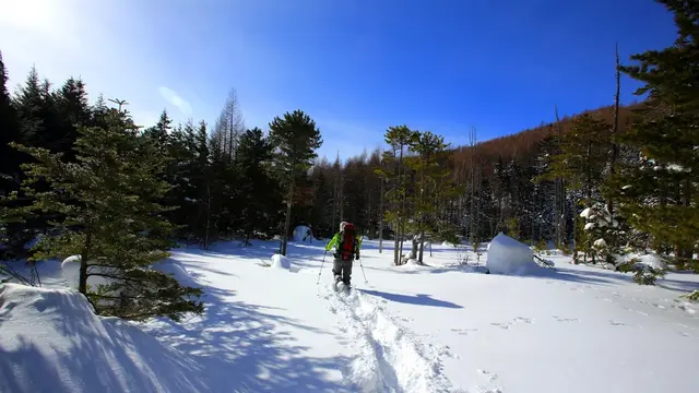 新年にスノーシューでまっさらな白銀の雪原を歩く！／乗鞍高原