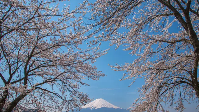日本人ならこう教えろ！～訪日欧米人観光客向け・富士山登山編 ～