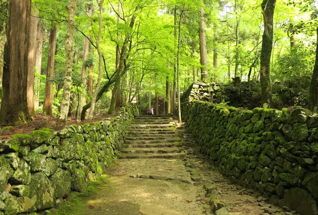 京都寺社巡りの巻