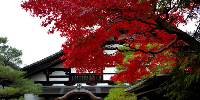 京都 南禅寺界隈の紅葉を愉しむ大人旅