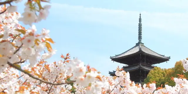 京都 きぬかけの路を歩く大人旅