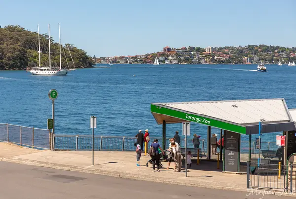 Taronga Zoo Wharf