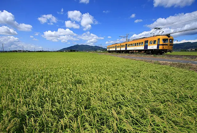 出雲大社と松江を電車に乗って堪能する旅。