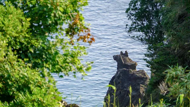 【佐渡西海岸ドライブ】海に浮かぶ岩が○○（キリン・猫・犬　etc）に見える！絶景＆可愛いカフェも♪