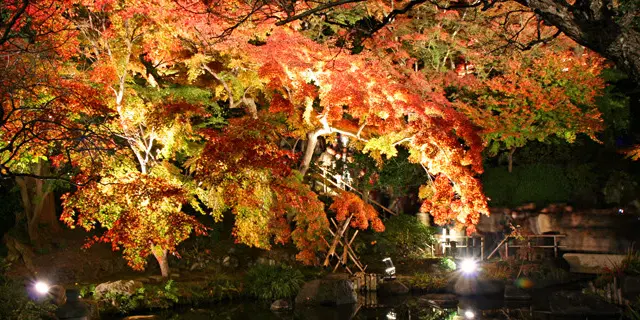 秋の夕暮れ鎌倉～江ノ島散策。