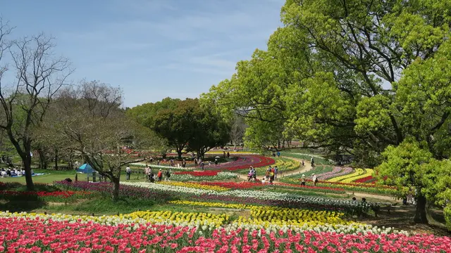 【春の人気観光スポット20選】春の大阪を楽しむ花見・グルメ・絶景スポットランキングを大公開！