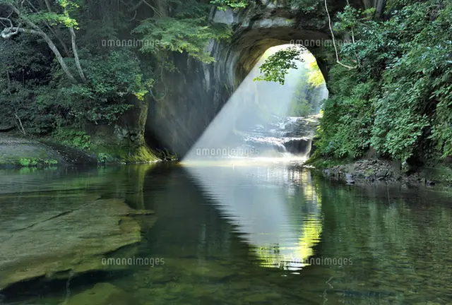 濃溝の滝🏞と千葉の桜🌸神社⛩めぐり〜