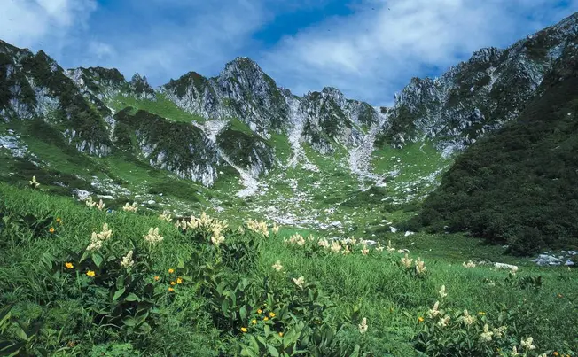 ７ ８月 高山植物の宝庫中央アルプス千畳敷カール 標高2 612ｍへロープウェイで誰でも行ける絶景 Holiday ホリデー