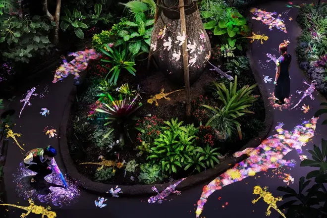 世界を旅する植物に住まう、花と共に生きる生き物たち teamLab, 2018, Interactive Digital Installation, Sound: Hideaki Takahashi