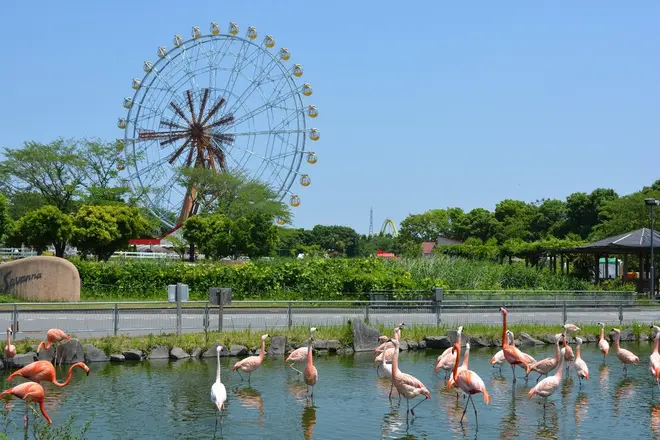 すみだ水族館 東武動物公園がコラボ なつとほたるとすいぞくかん ホタルの光とともに夏の涼を楽しめる Holiday ホリデー