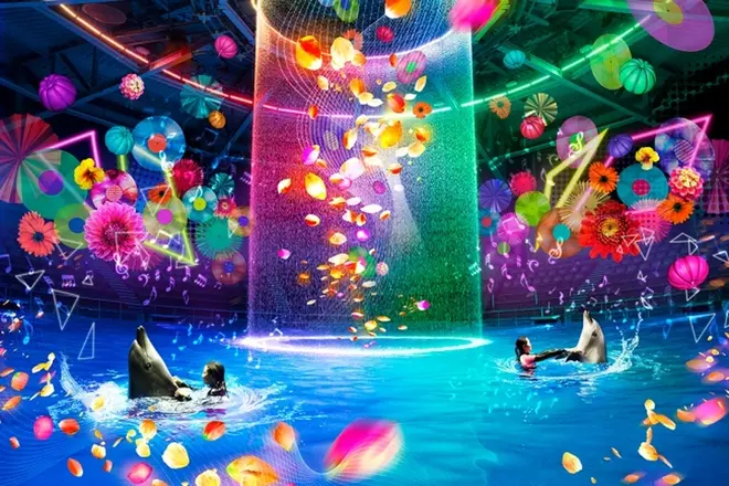 Aqua Pop Party（アクアポップ パーティー）夜のドルフィンパフォーマンス
