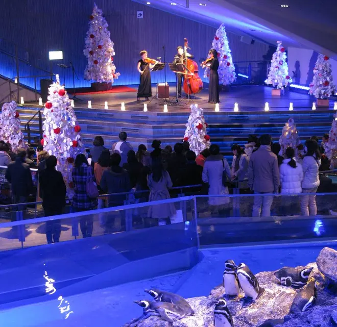 「クリスマスミニライブinすみだ水族館」 イメージ