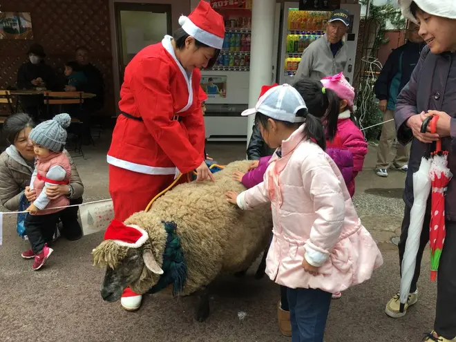 写真は昨年の様子です。一部内容が異なります。