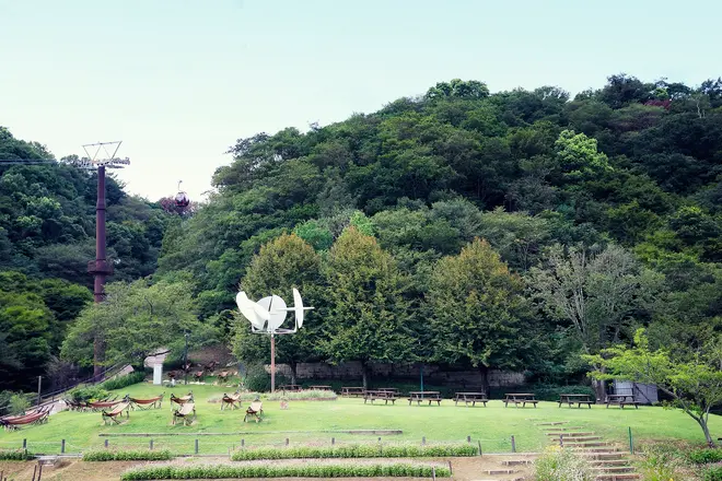 神戸を見下ろす芝生広場は最適なピクニックスポット