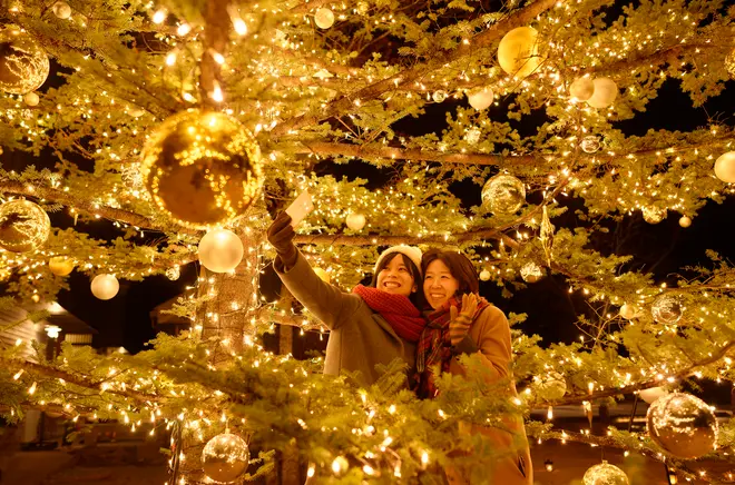 軽井沢星野エリアのクリスマス 2020 イメージ