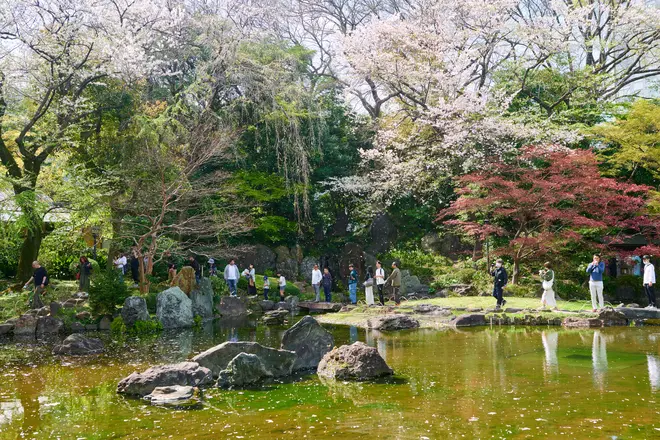 神池（しんち）庭園