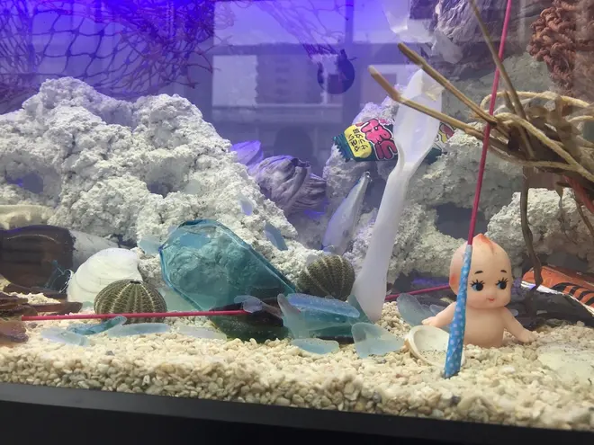 全国初 魚ではなく 海ごみ を展示した かがわの海ごみアクアリウム展 香川県で開催 Holiday ホリデー