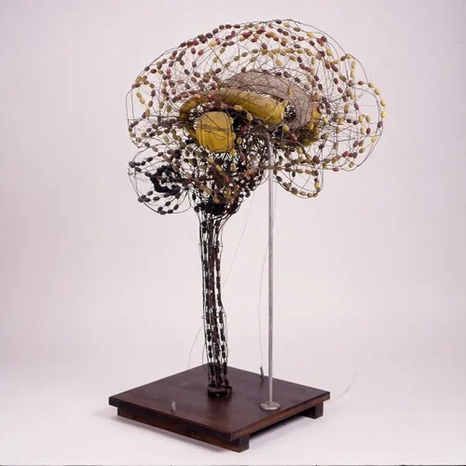 「脳の神経線維模型」 スイス、ブシ社製 1893-1910年  ブールハーフェ博物館所蔵©Rijksmuseum Boerhaave,  Leiden V25313 