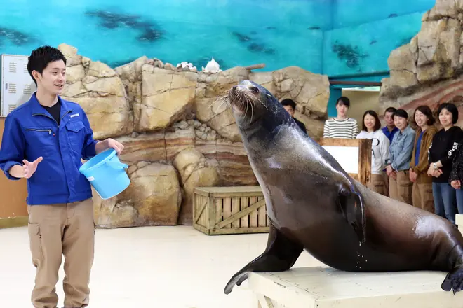 鳥羽水族館　ヒレアシ特別バックヤードツアー