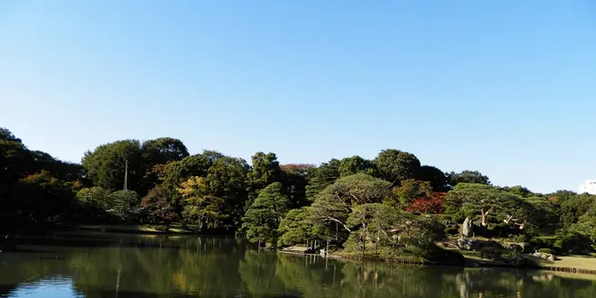 紅葉、天然温泉、牧場グルメ…これ、みん〜な東京の駒込で堪能できるんです！