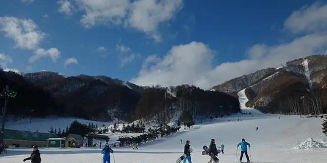 都内から日帰りで行けるスキーツアー