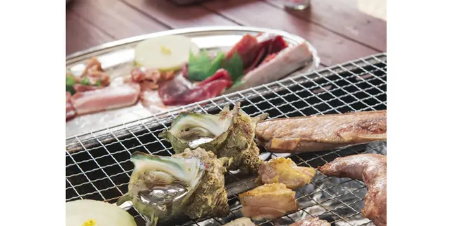 🐟みさきまぐろきっぷで楽しむ休日サイクリング