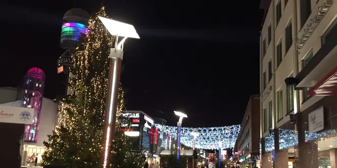 フィンランドで本場クリスマスムード満喫 ロヴァニエミ＆ヘルシンキ4泊6日