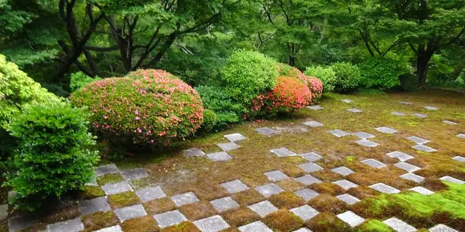 京都、東福寺ＰＡＲＴ２　心癒される苔の庭へ…！