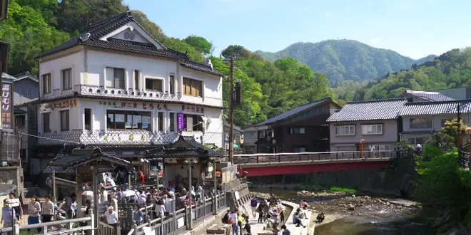 源泉温度は９８度・日本一ともいわれる熱い源泉、湯村温泉を探索するプラン