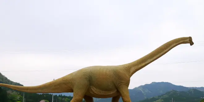 子供とお出かけ！丹波市のひまわり畑と恐竜を巡る旅