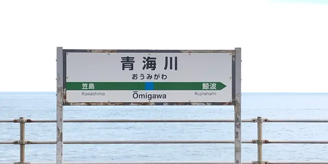 つい、電車から降りたくなってしまう❗️ 日本海に一番近い駅の絶景を見に行って来た❗️【青海川駅】