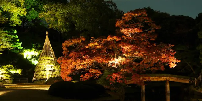 東京の庭園や山で秋を感じる