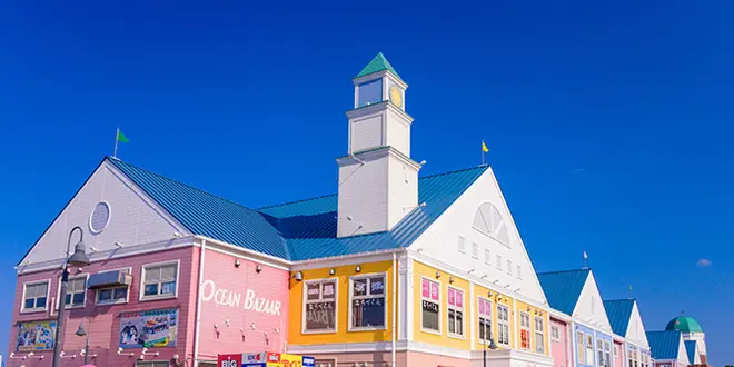 冬の熱川旅行！めっちゃ動物と触れ合う自由気ままな女子2人旅♡