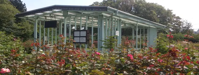 神奈川県立フラワーセンター大船植物園へ行くなら おすすめの過ごし方や周辺情報をチェック Holiday ホリデー