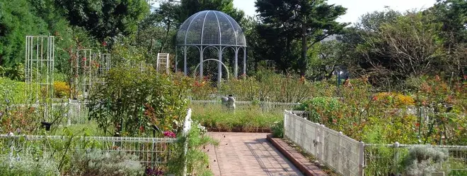 横浜市こども植物園へ行くなら おすすめの過ごし方や周辺情報をチェック Holiday ホリデー