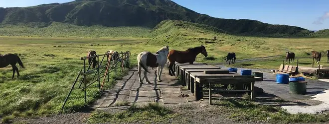 阿蘇草千里乗馬クラブへ行くなら おすすめの過ごし方や周辺情報をチェック Holiday ホリデー