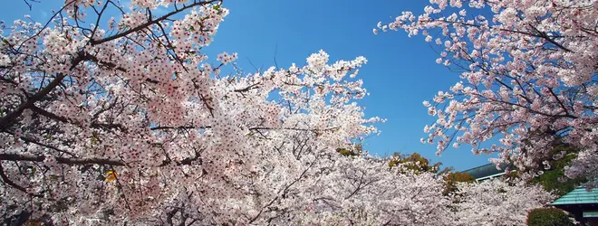 梅津寺公園へ行くなら おすすめの過ごし方や周辺情報をチェック Holiday ホリデー