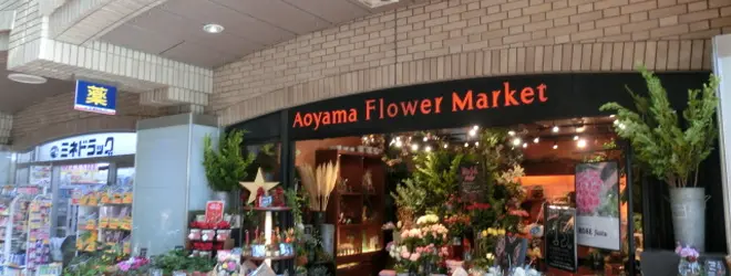 青山フラワーマーケット飯田橋ラムラ店へ行くなら おすすめの過ごし方や周辺情報をチェック Holiday ホリデー