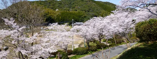 大津山公園へ行くなら おすすめの過ごし方や周辺情報をチェック Holiday ホリデー