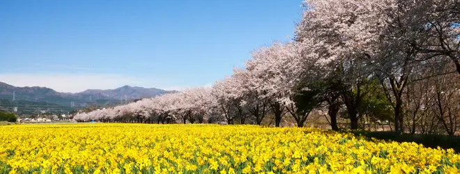 岩井親水公園へ行くなら おすすめの過ごし方や周辺情報をチェック Holiday ホリデー