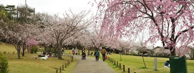 藤が丘デザイン公園へ行くなら おすすめの過ごし方や周辺情報をチェック Holiday ホリデー