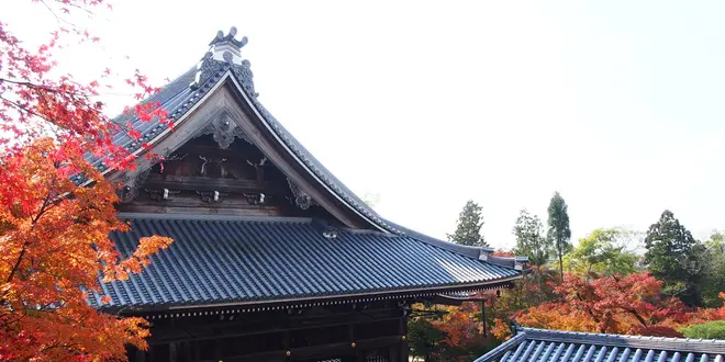 世界観光都市ランキング1位！秋の京都で本気で紅葉狩りしてみました！写真から感じてください♪