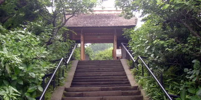 鎌倉の花の寺で秋満喫、北鎌倉東慶寺から亀ヶ谷切通しを抜けて、海蔵寺へ。小町通でランチ♪