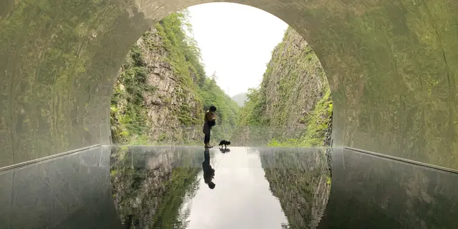 わんこと佐渡島