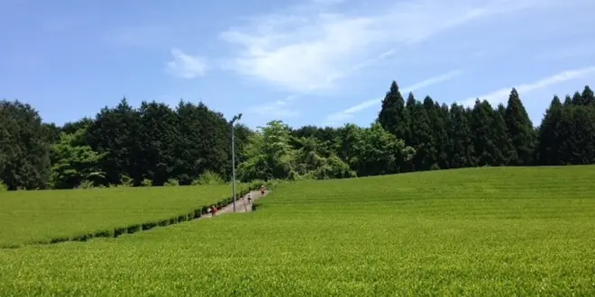 富士山の見える"農家民宿"で土に触れるゆるり旅。